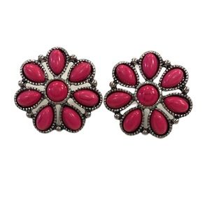 NWOT Pink Western Earrings